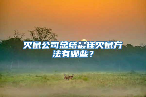 滅鼠公司總結最佳滅鼠方法有哪些?