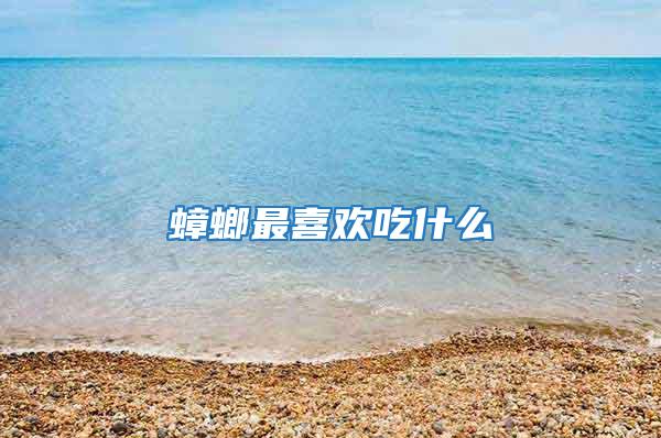 蟑螂最喜歡吃什么