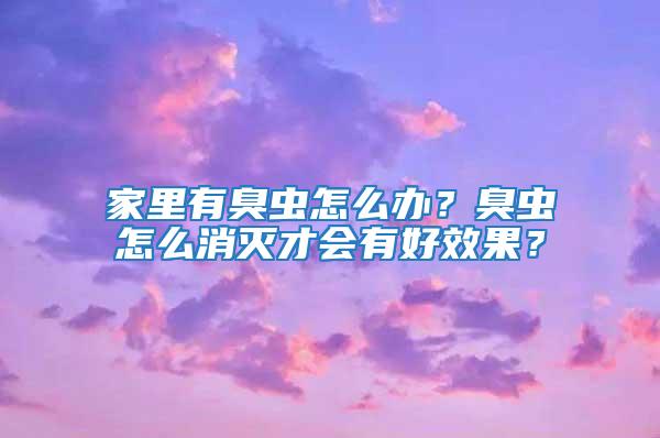 家里有臭蟲怎么辦?臭蟲怎么消滅才會有好效果?
