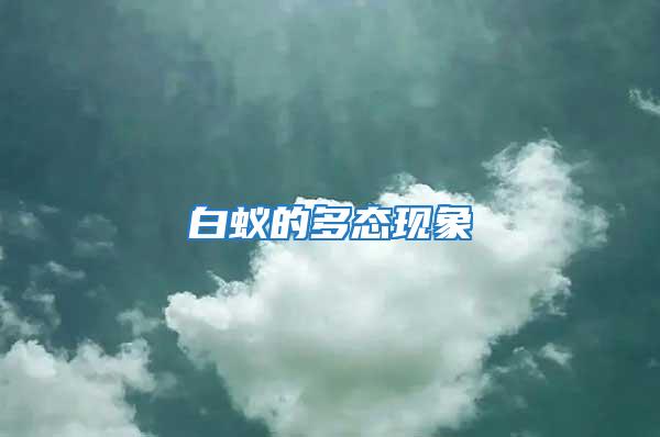 白蟻的多態現象