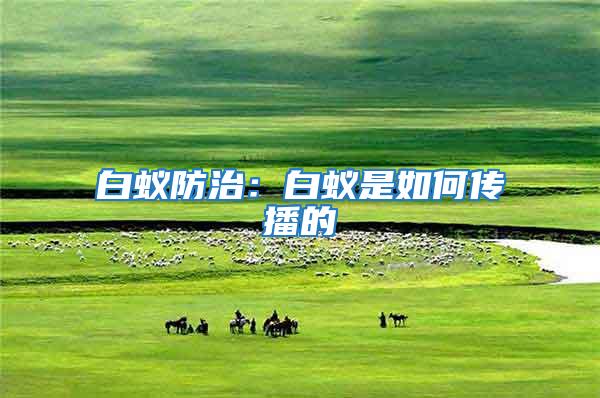 白蟻防治:白蟻是如何傳播的