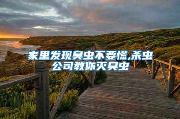 家里發現臭蟲不要慌,殺蟲公司教你滅臭蟲