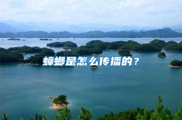 蟑螂是怎么傳播的?