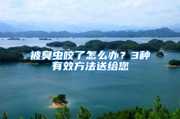 被臭蟲咬了怎么辦?3種有效方法送給您