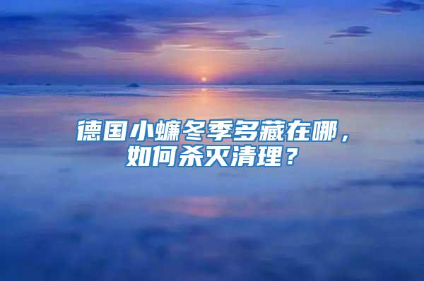 德國小蠊冬季多藏在哪,如何殺滅清理?