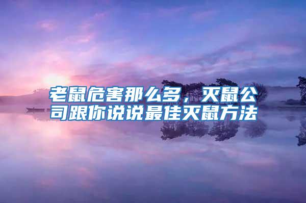 老鼠危害那么多,滅鼠公司跟你說說最佳滅鼠方法
