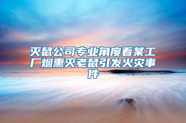 滅鼠公司專業角度看某工廠煙熏滅老鼠引發火災事件