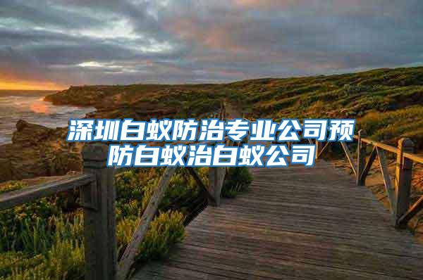 深圳白蟻防治專業公司預防白蟻治白蟻公司
