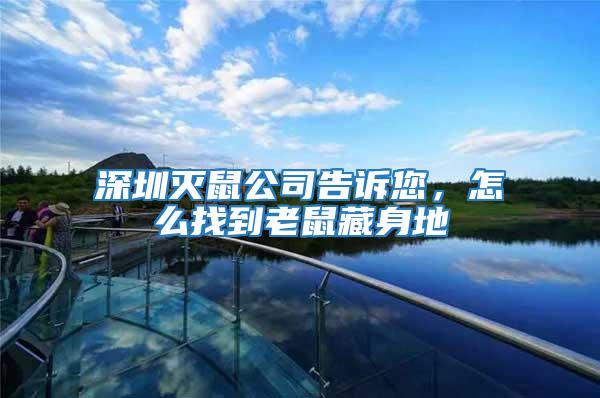 深圳滅鼠公司告訴您,怎么找到老鼠藏身地