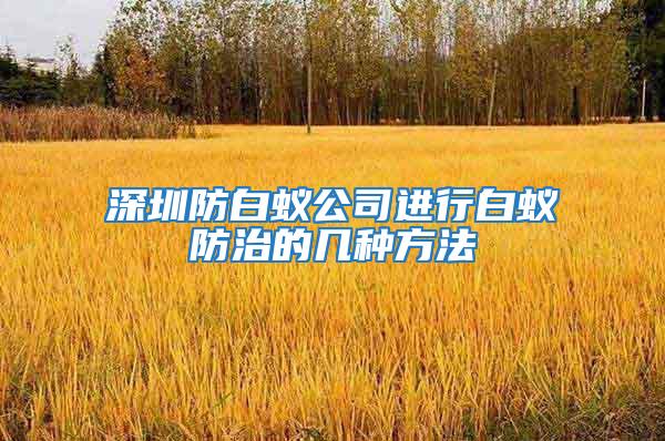 深圳防白蟻公司進(jìn)行白蟻防治的幾種方法