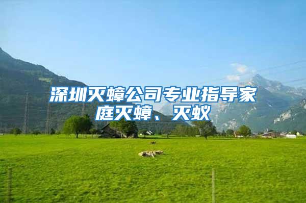 深圳滅蟑公司專業(yè)指導(dǎo)家庭滅蟑、滅蟻