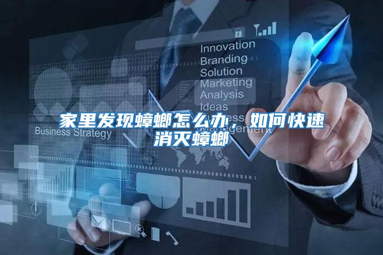 家里發現蟑螂怎么辦,如何快速消滅蟑螂