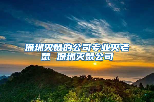 深圳滅鼠的公司專業滅老鼠 深圳滅鼠公司