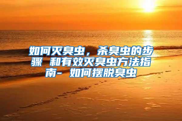 如何滅臭蟲,殺臭蟲的步驟 和有效滅臭蟲方法指南- 如何擺脫臭蟲