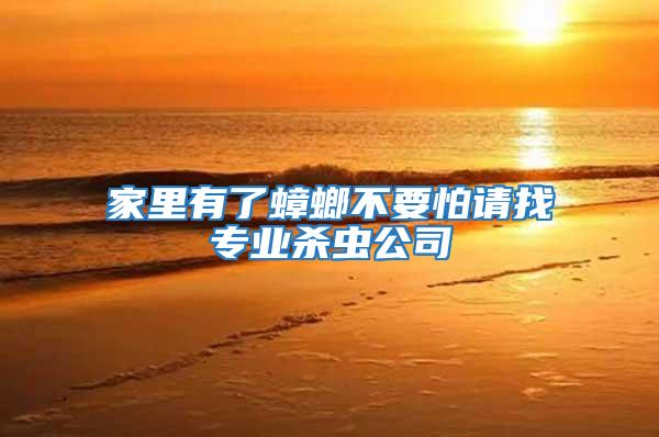 家里有了蟑螂不要怕請找專業殺蟲公司