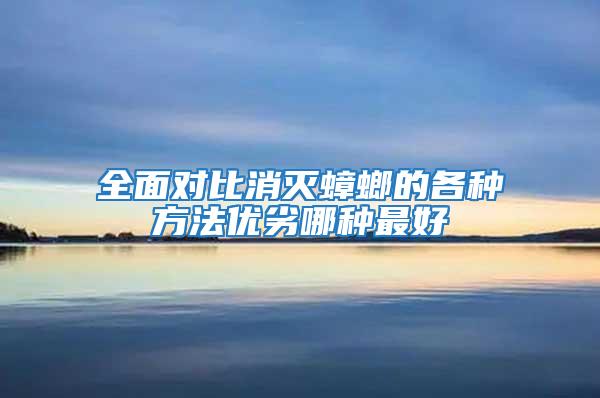 全面對比消滅蟑螂的各種方法優劣哪種最好