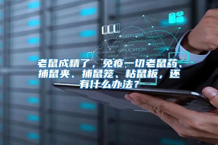 老鼠成精了,免疫一切老鼠藥、捕鼠夾、捕鼠籠、粘鼠板,還有什么辦法?