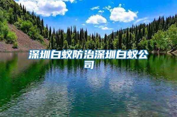 深圳白蟻防治深圳白蟻公司