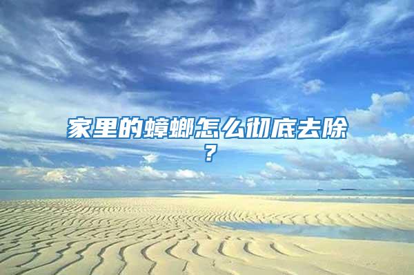 家里的蟑螂怎么徹底去除?