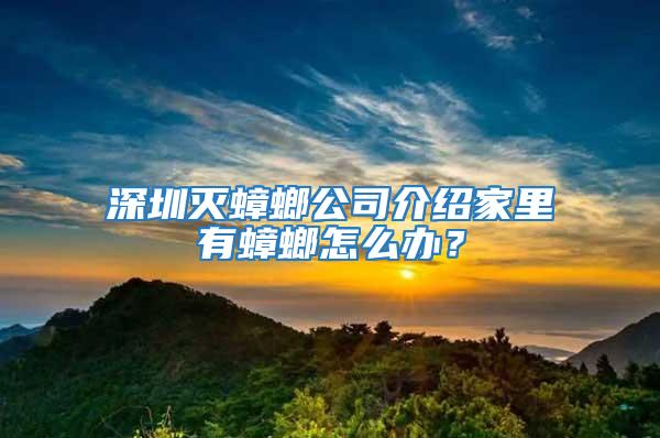 深圳滅蟑螂公司介紹家里有蟑螂怎么辦?