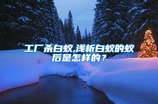 工廠殺白蟻,淺析白蟻的蟻后是怎樣的？