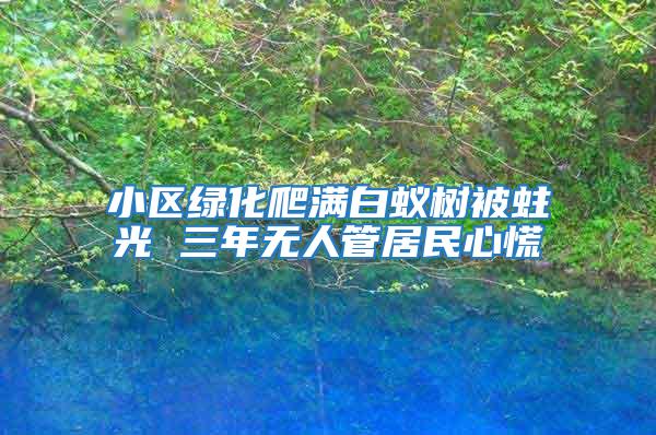 小區(qū)綠化爬滿白蟻樹被蛀光 三年無人管居民心慌