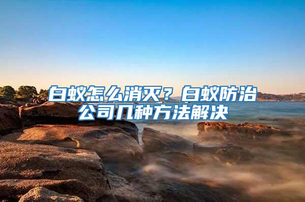 白蟻怎么消滅?白蟻防治公司幾種方法解決