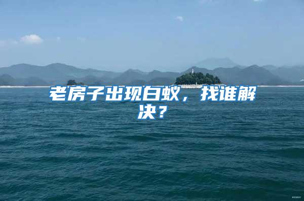 老房子出現白蟻,找誰解決?