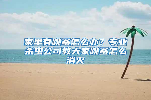 家里有跳蚤怎么辦？專業殺蟲公司教大家跳蚤怎么消滅