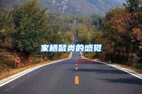 家棲鼠類(lèi)的感覺(jué)