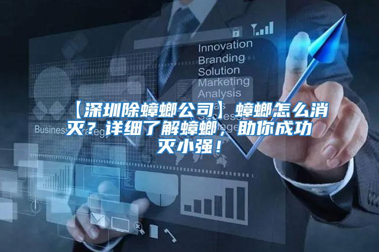【深圳除蟑螂公司】蟑螂怎么消滅?詳細了解蟑螂,助你成功滅小強!