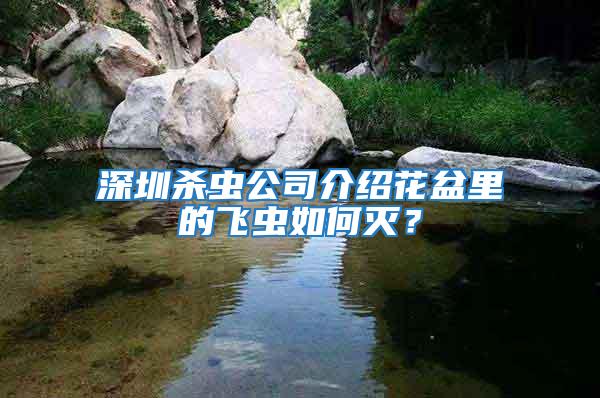 深圳殺蟲公司介紹花盆里的飛蟲如何滅？