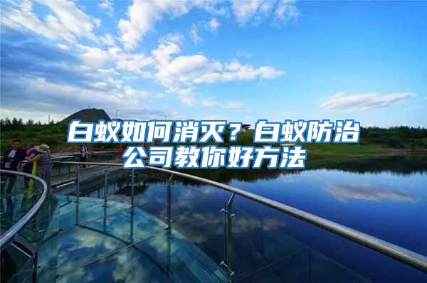 白蟻如何消滅？白蟻防治公司教你好方法