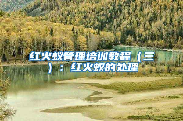 紅火蟻管理培訓(xùn)教程(三):紅火蟻的處理