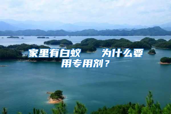 家里有白蟻 為什么要用專用劑?
