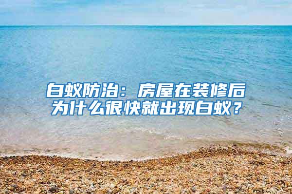 白蟻防治：房屋在裝修后為什么很快就出現白蟻？