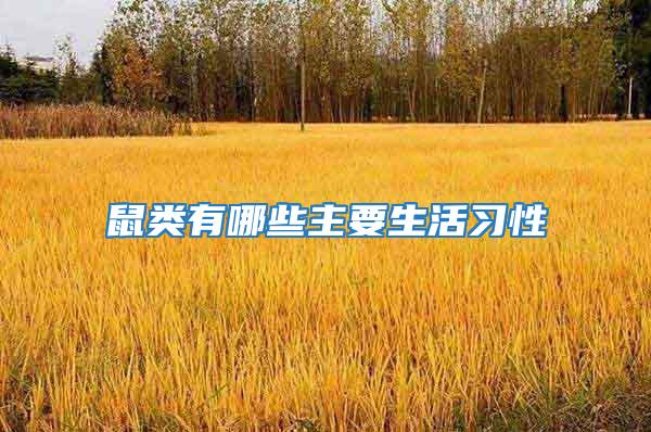 鼠類有哪些主要生活習性