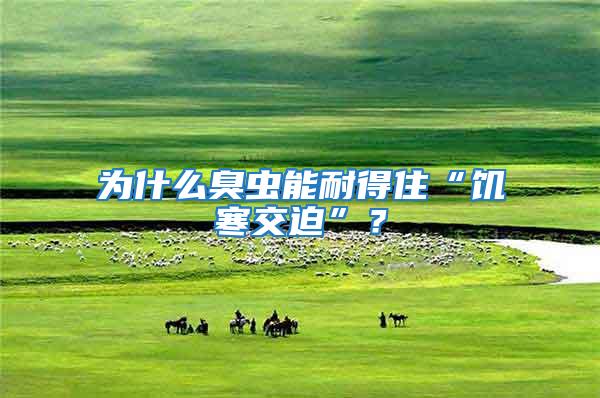 為什么臭蟲能耐得住“饑寒交迫”?