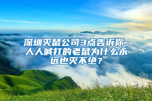 深圳滅鼠公司3點告訴你,人人喊打的老鼠為什么永遠(yuǎn)也滅不絕?
