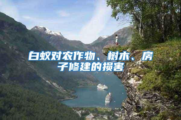 白蟻對(duì)農(nóng)作物、樹木、房子修建的損害