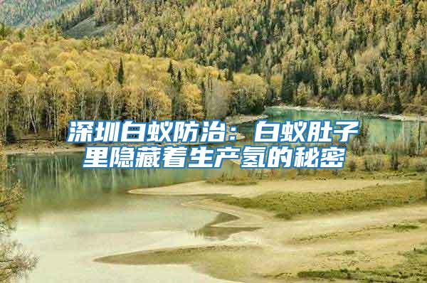 深圳白蟻防治:白蟻肚子里隱藏著生產氫的秘密