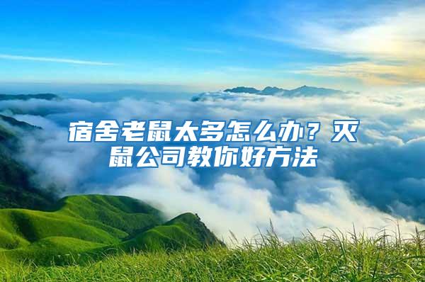 宿舍老鼠太多怎么辦?滅鼠公司教你好方法