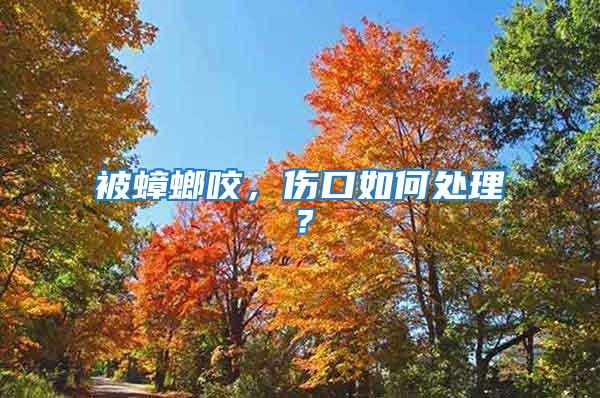 被蟑螂咬，傷口如何處理？