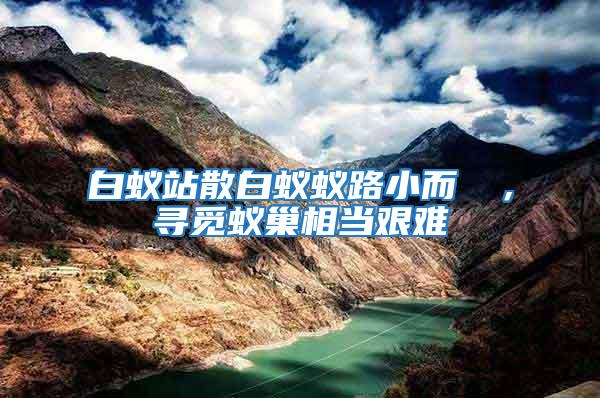 白蟻站散白蟻蟻路小而骫骳，尋覓蟻巢相當(dāng)艱難