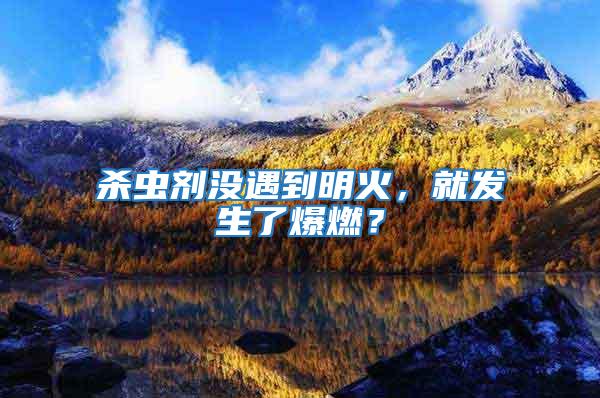 殺蟲劑沒遇到明火，就發(fā)生了爆燃？