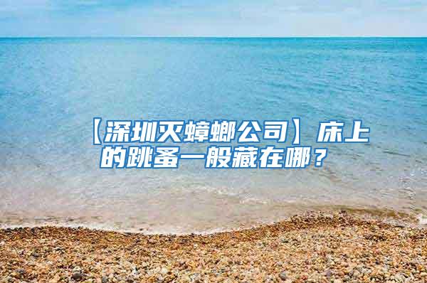 【深圳滅蟑螂公司】床上的跳蚤一般藏在哪?