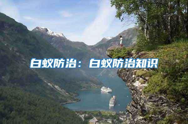 白蟻防治:白蟻防治知識