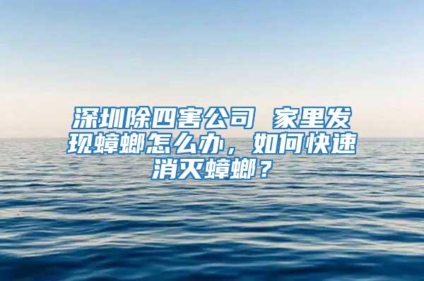 深圳除四害公司 家里發現蟑螂怎么辦,如何快速消滅蟑螂?