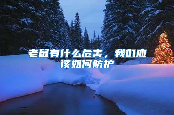 老鼠有什么危害,我們應該如何防護