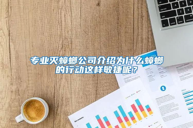 專業(yè)滅蟑螂公司介紹為什么蟑螂的行動這樣敏捷呢?